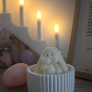 Daisy in recipient ceramic