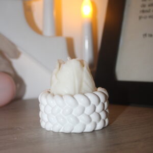 Vestitorul Primaverii in recipient ceramic